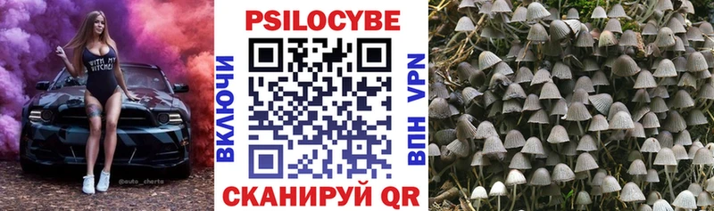 KRAKEN ссылка  купить наркотик  Норильск  Псилоцибиновые грибы Magic Shrooms 