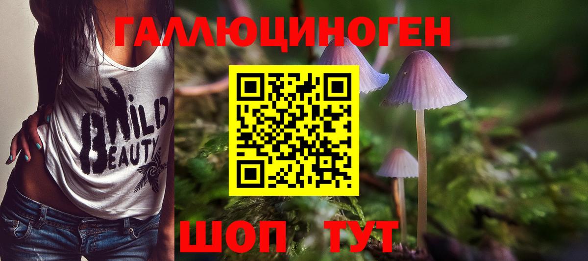Галлюциногенные грибы Magic Shrooms  Вход с VPN  Норильск 